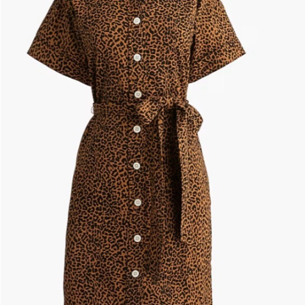 J. Crew Factory Leopard Print Mini Dress - Brown